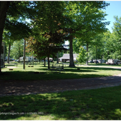 john gurney park